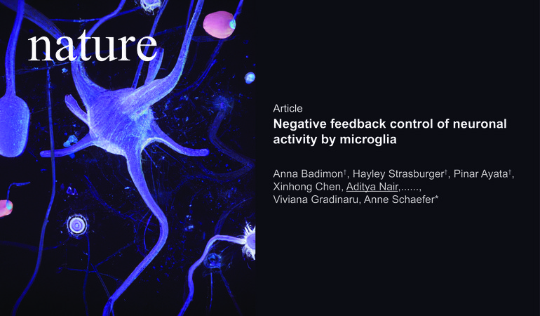 nature_microglia