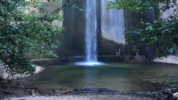A 30 foot waterfall cascades over a dam. Trees and bushes surround the dam.