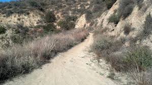Climb up Brown Mountain