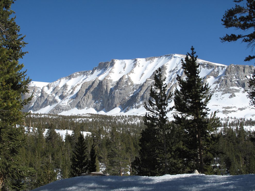 Sequoia_Whitney_Sierra_Traverse_24