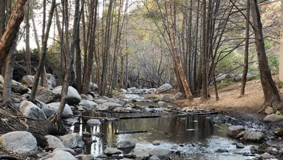 Eaton Canyon trail winds along the stream out to a small waterfall.