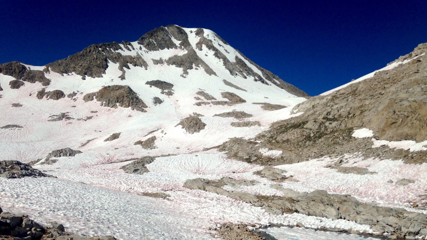 Snow with melt pools covers Muir Pass. Sharp gray peaks stick out of the snow.