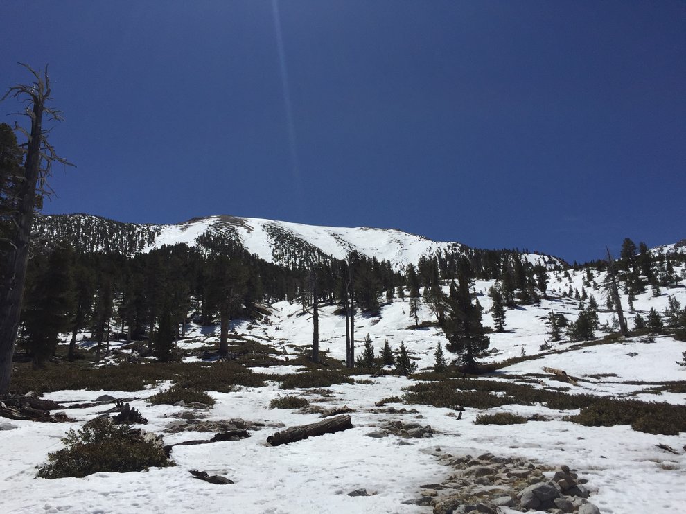 San_Gorgonio%27s_North_Face_4