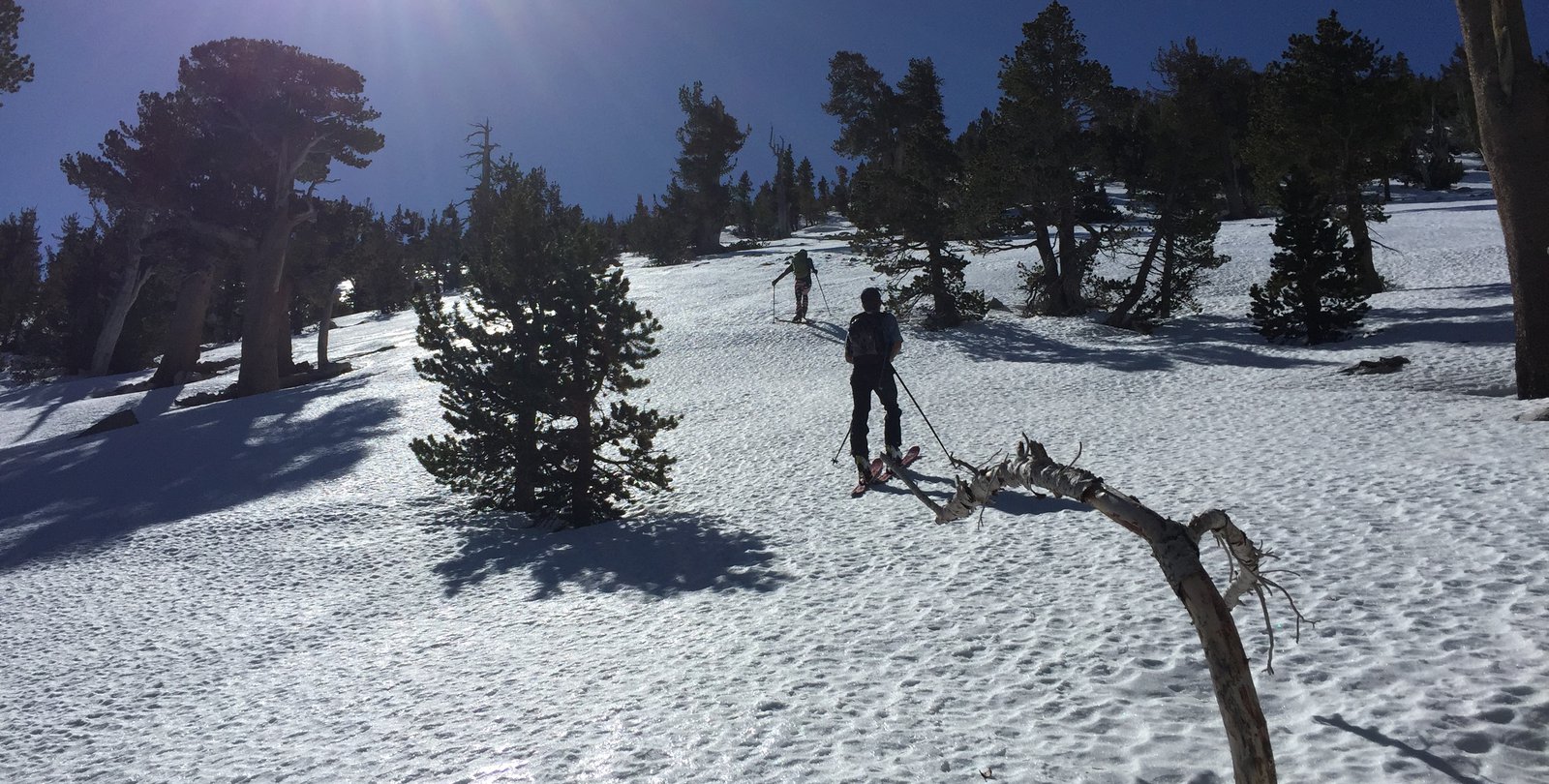 San_Gorgonio%27s_North_Face_0