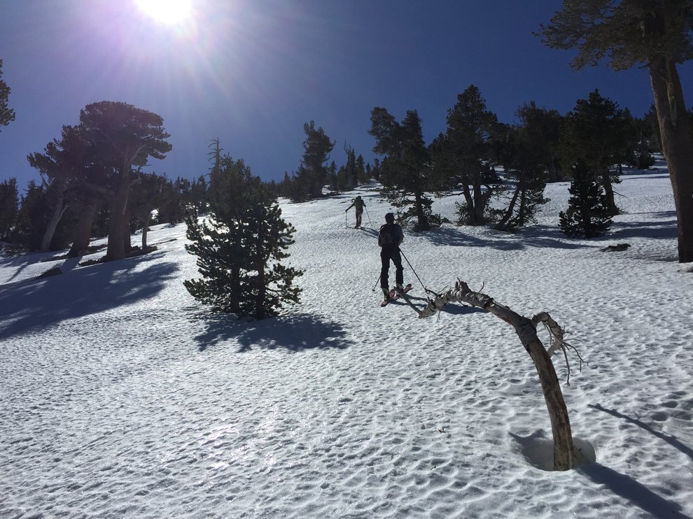 San_Gorgonio%27s_North_Face_0