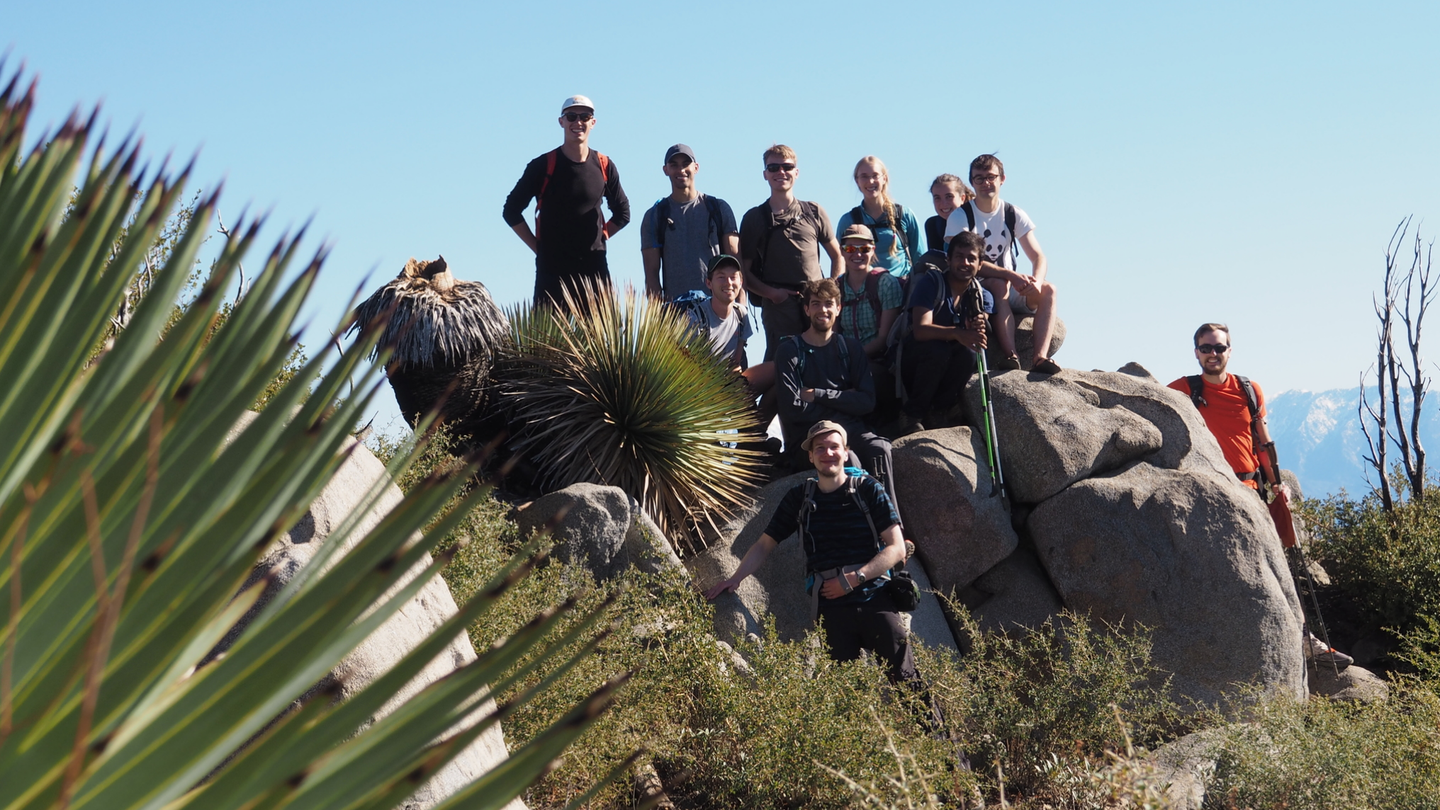 A group of happy hikers sitting on a peak on a sunny day. A spiky native yucca plant covers a corner of the image