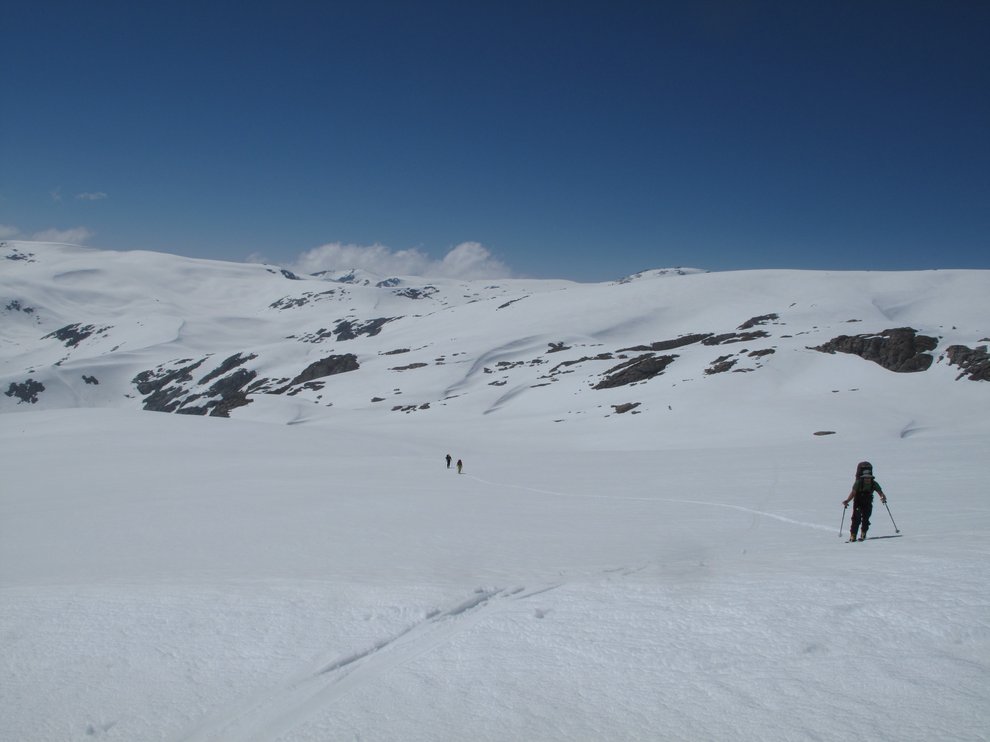 Sequoia_Whitney_Sierra_Traverse_1