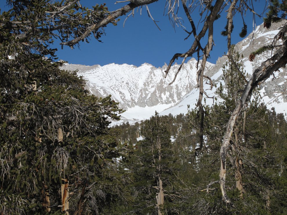 Sequoia_Whitney_Sierra_Traverse_25