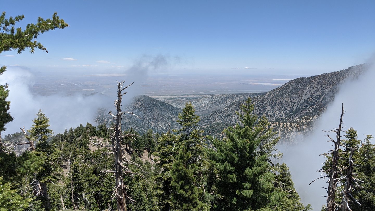 View down a mountain hill. The Mojave desert is in the background, and fog is rolling over the hills.