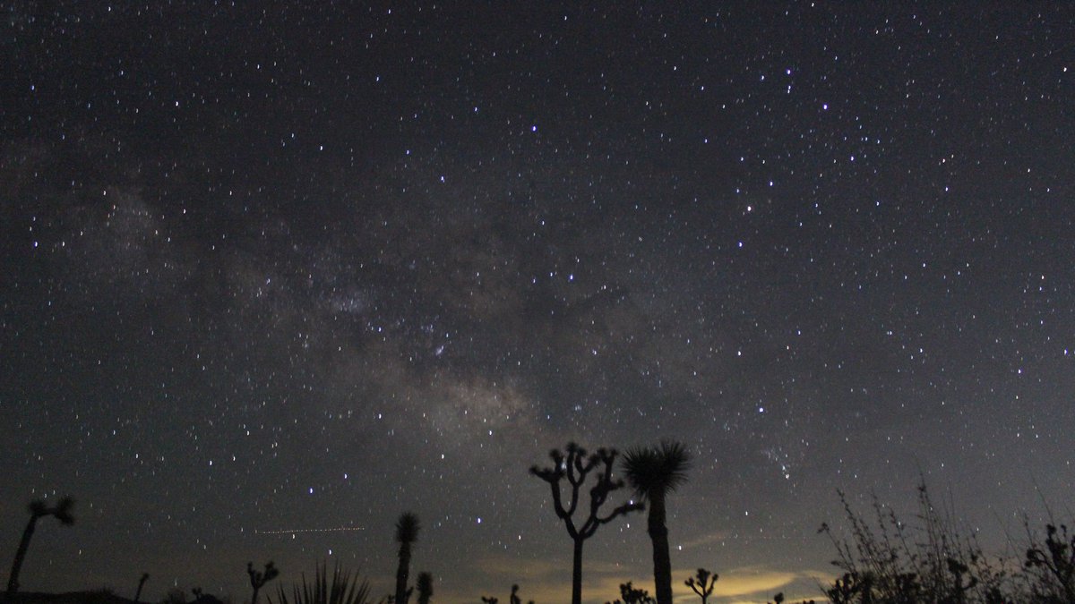 joshua_tree_night_sky