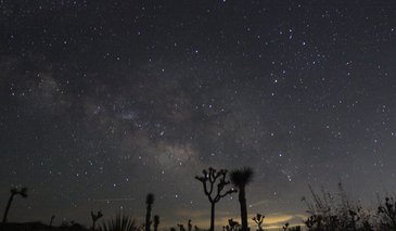 joshua_tree_night_sky