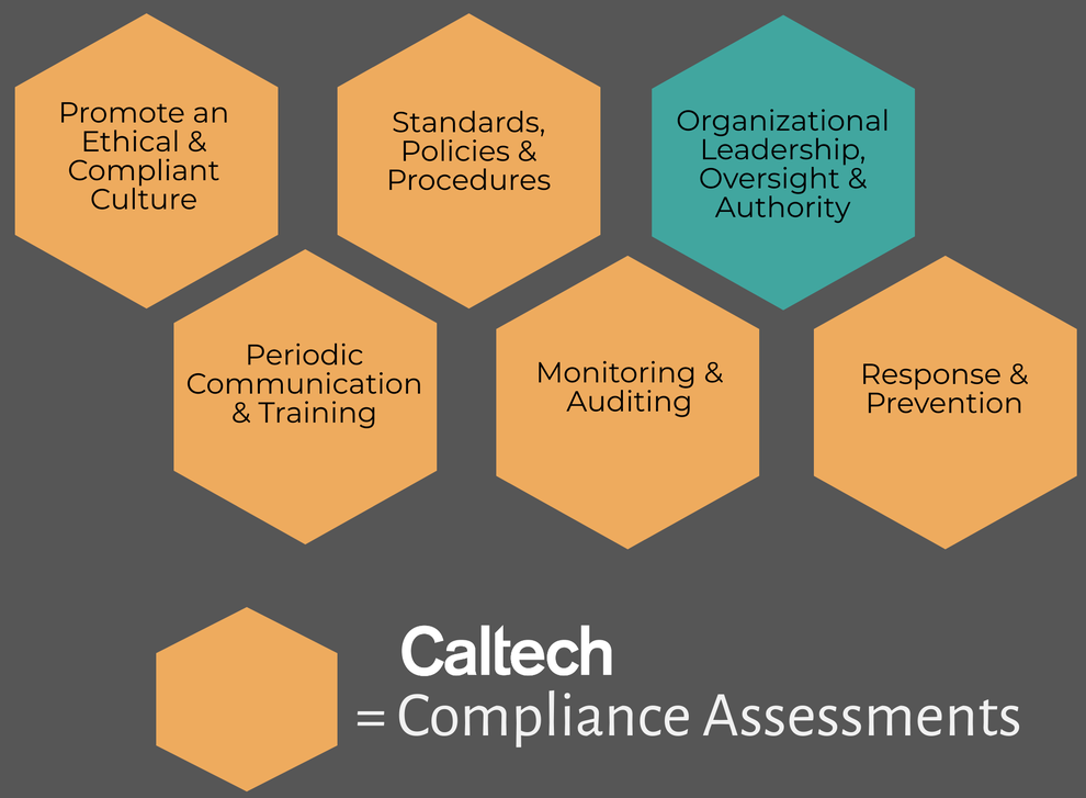 Compliance Assessment - Hexagons for effective compliance