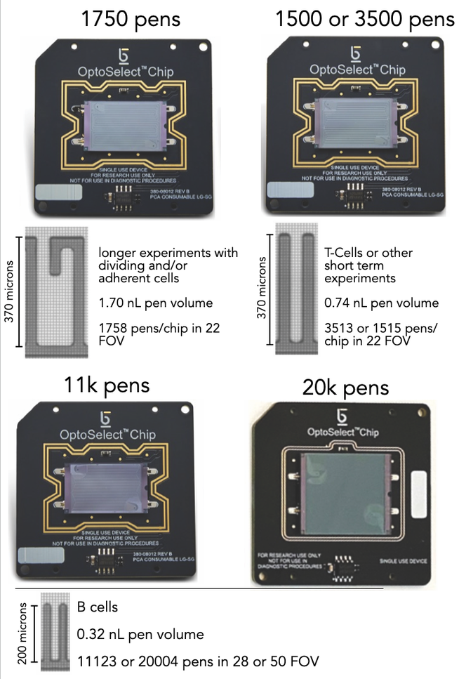 Beacon Chip Types