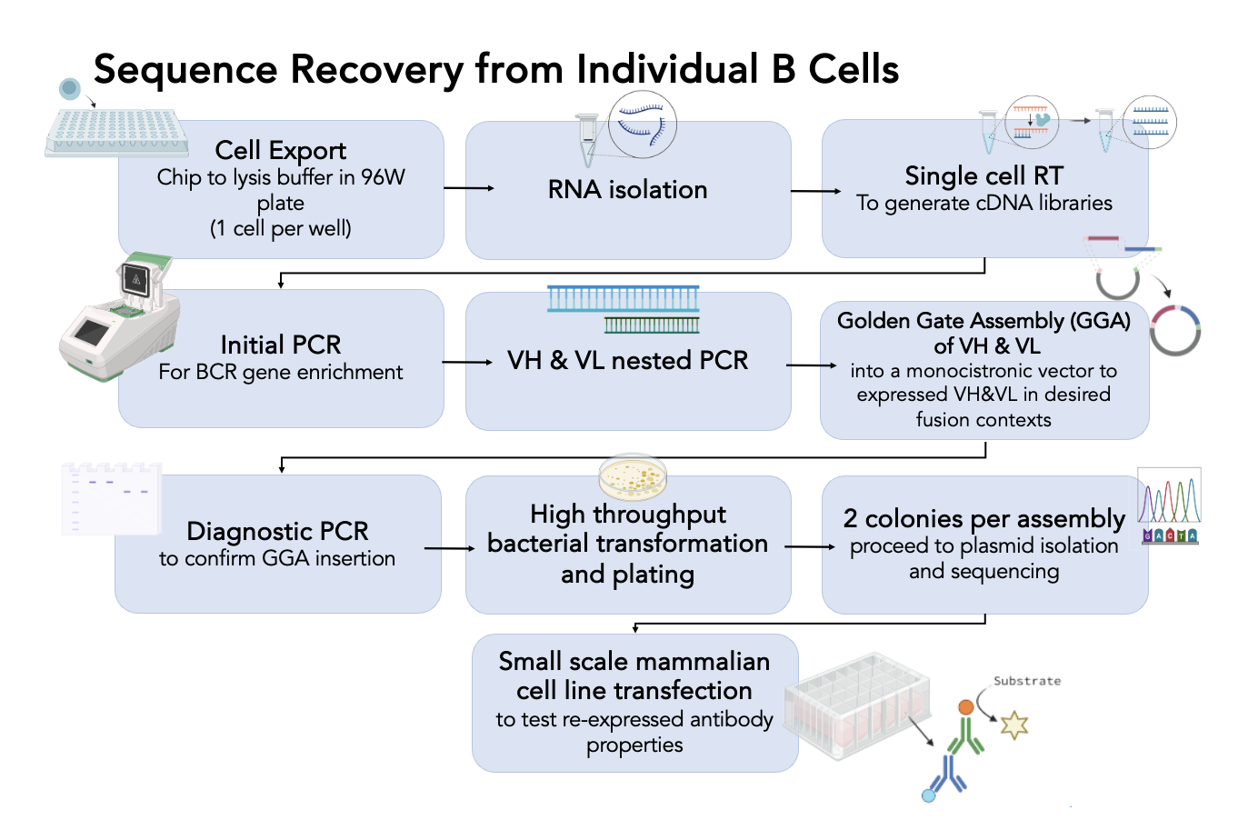 Downstream Processing
