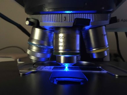 microscope