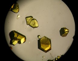 x ray crystallography