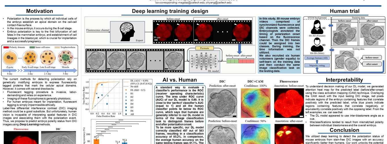 AI2Embryo