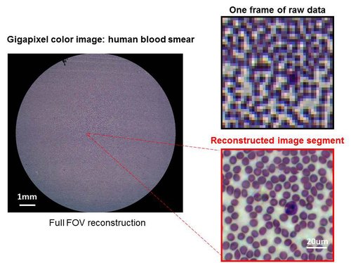 Fourier_Ptychography_imaging_biosample.jpg