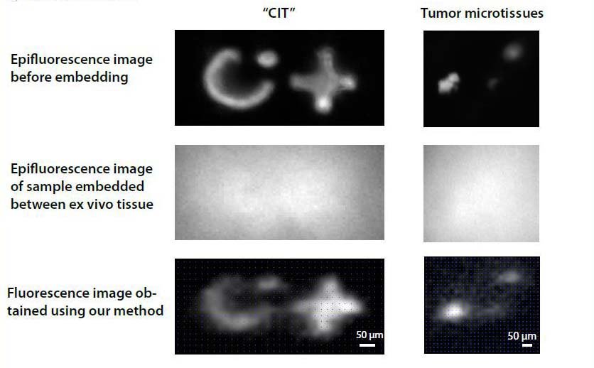 Images of quantum dot "CIT" feature an fluorescently.jpg