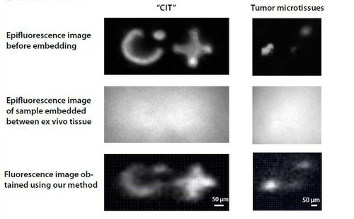Images of quantum dot "CIT" feature an fluorescently.jpg