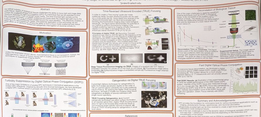 Image of Improved Light Delivery for Optogenetics Using Digital Optical Phase Conjugation research poster