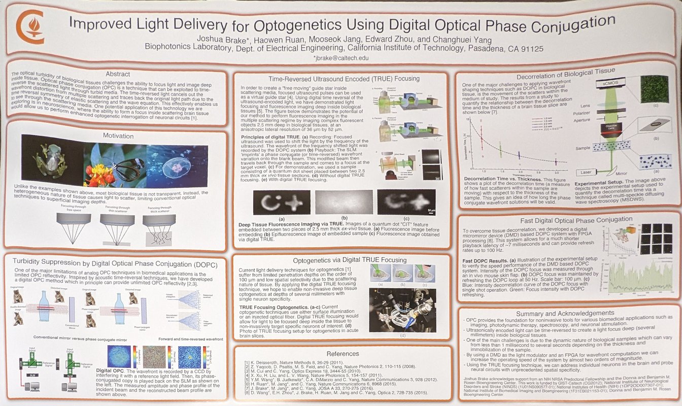 Image of Improved Light Delivery for Optogenetics Using Digital Optical Phase Conjugation research poster