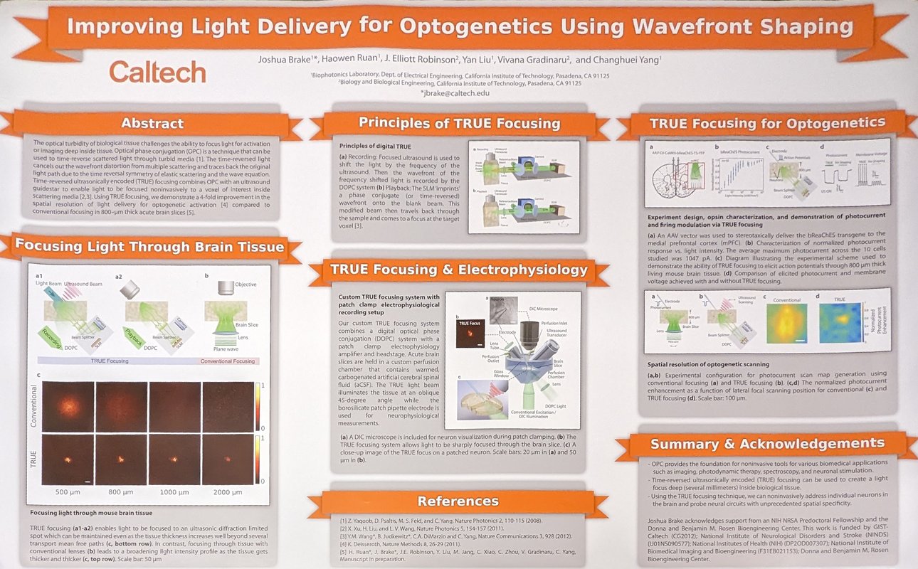 Image for Improving Light Delivery for Optogenetics Using Wavefront Shaping research paper