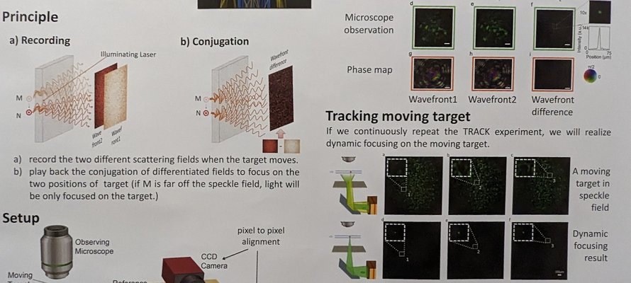 Image of Focusing on moving targets in scattering media research poster