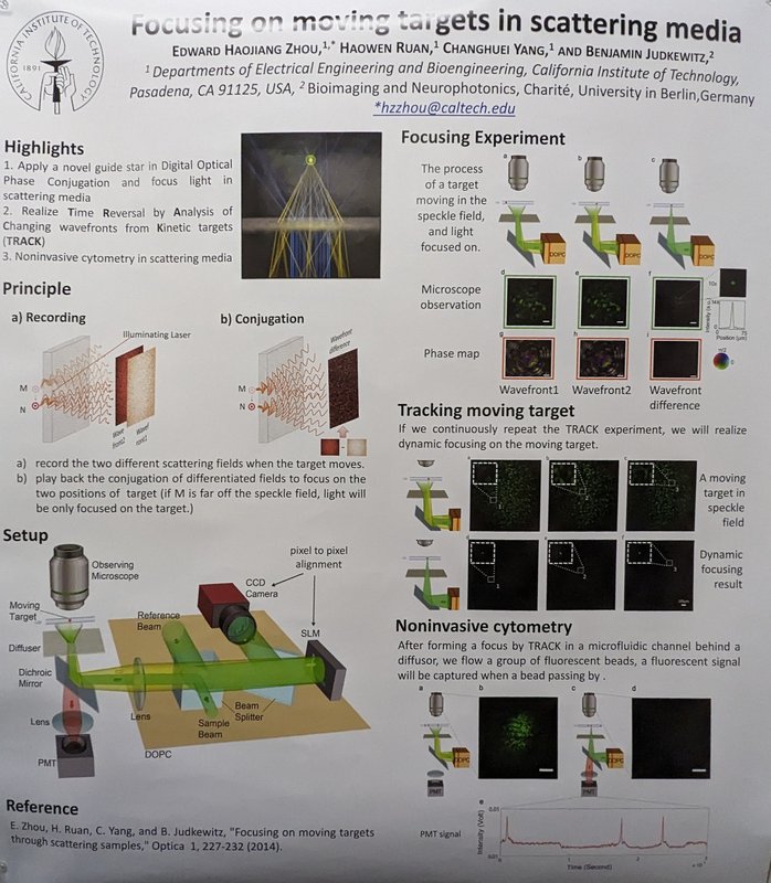 Image of Focusing on moving targets in scattering media research poster