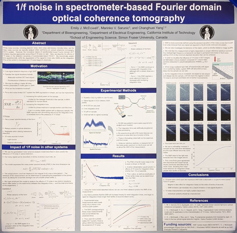 Image of 1/f noise in spectrometer-based Fourier domain optical coherence tomography research poster