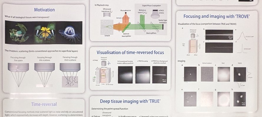 Image of Deep-tissue fluorescence imaging with time-reversed light research poster