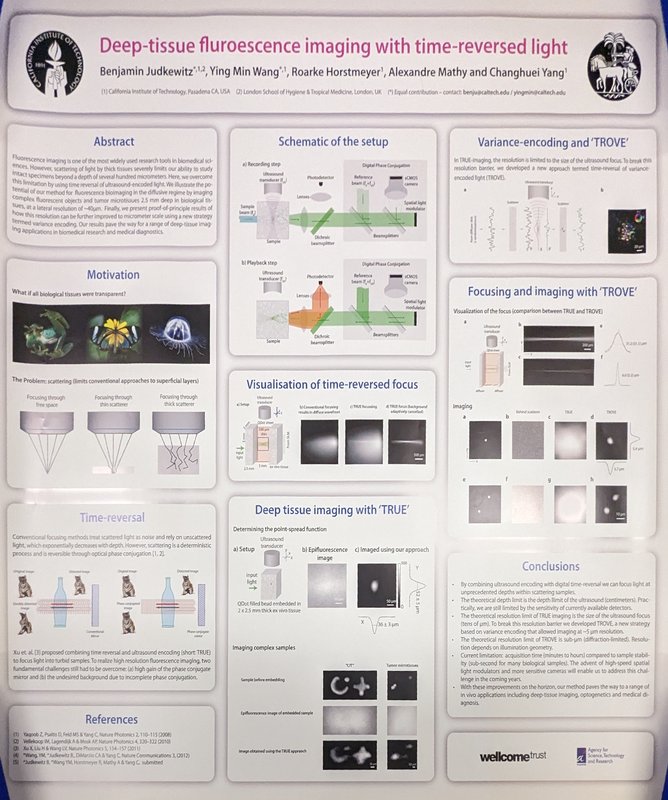 Image of Deep-tissue fluorescence imaging with time-reversed light research poster