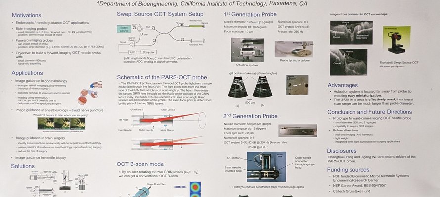 Image of Handheld Forward Imaging Needle Probe for Endoscopic OCT Inspection of the Retina research poster