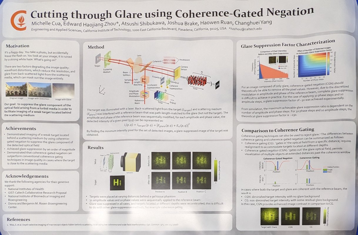 Image of Cutting through Glare using Coherent-Gated Negation research poster