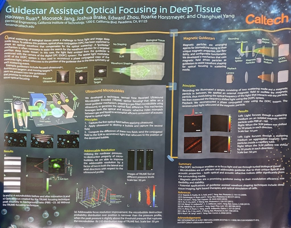 Image of Guidestar Assisted Optical Focusing in Deep Tissue research poster