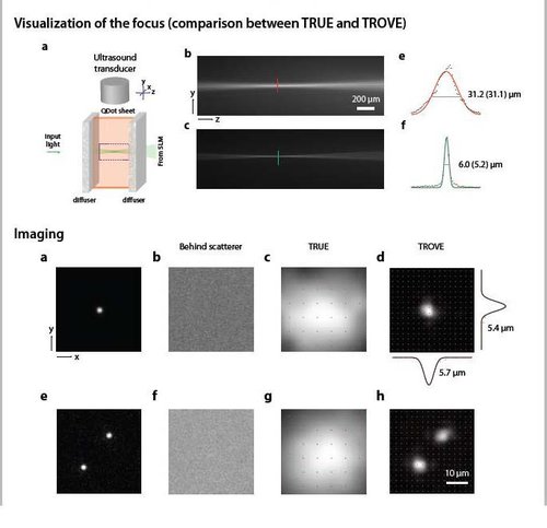 Results obtained with TROVE and comparison with TRUE.jpg