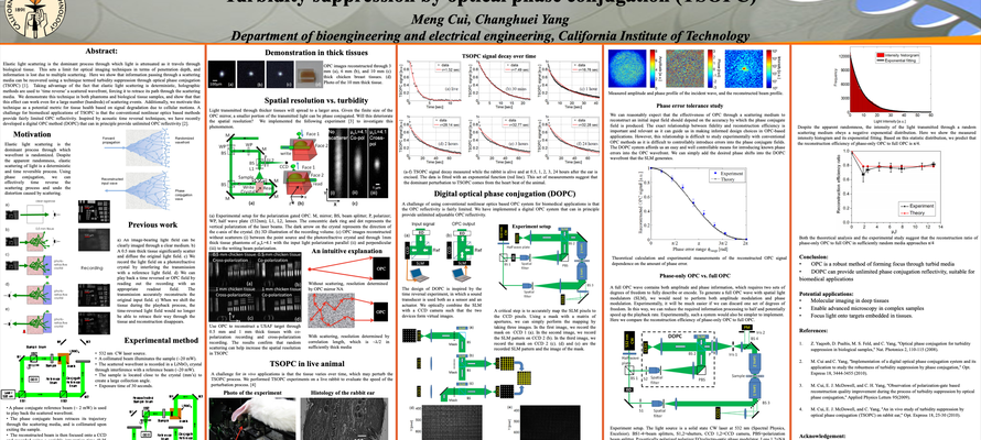 Image of Turbidity suppression by optical phase conjugation (TSOPC) poster, expanded from the previous poster