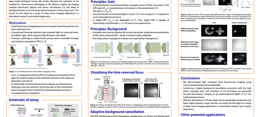 Deep-tissue focal fluorescence imaging with digitally time-reversed ultrasound-encoded light research poster