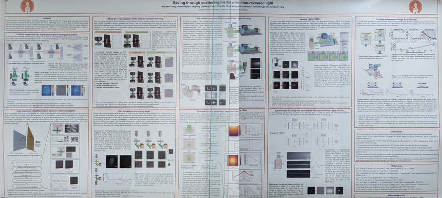 Image of Seeing through scattering media with time-reversed light research poster
