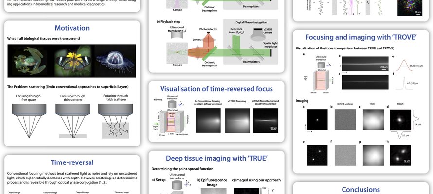 TRUE/TROVE research poster