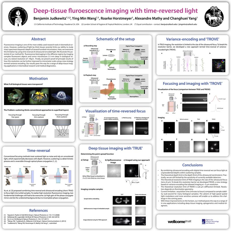 TRUE/TROVE research poster
