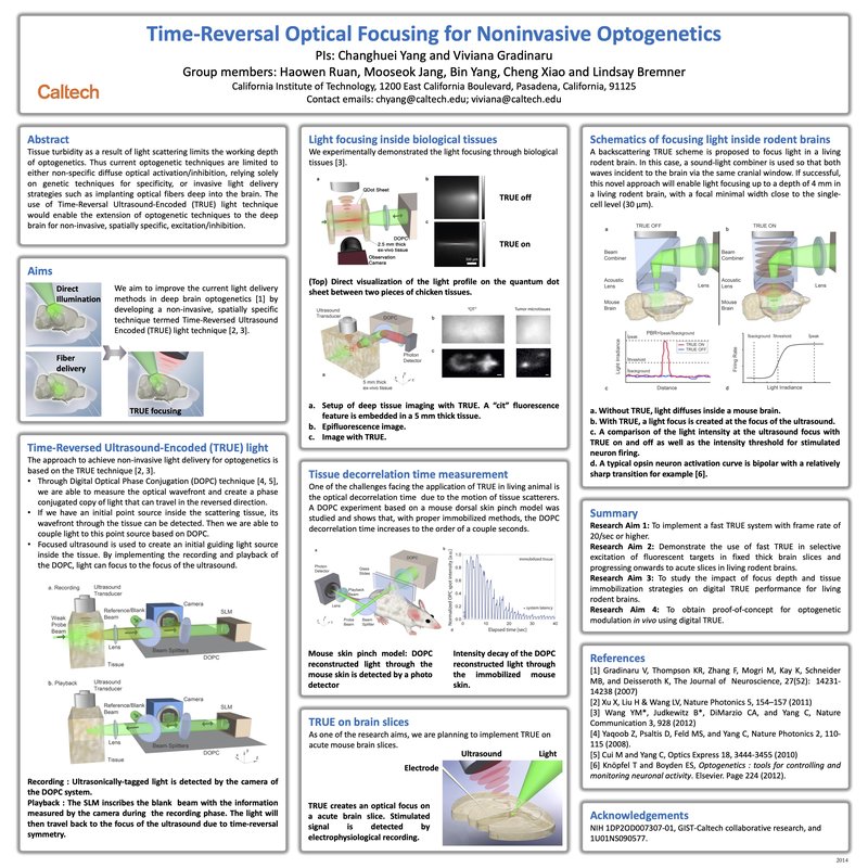 Time-Reversal Optical Focusing for Noninvasive Optogenetics
