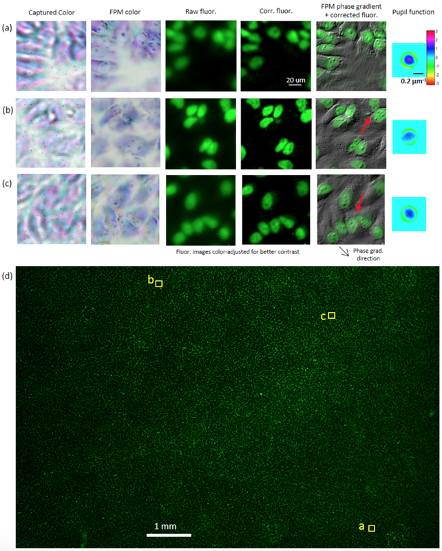 Wide_FOV_aberration-free_fluorescence_imaging.png