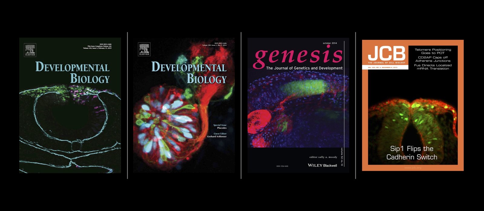 Publication Covers