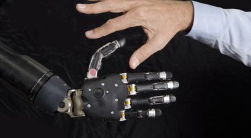 andersen hand and robo hand