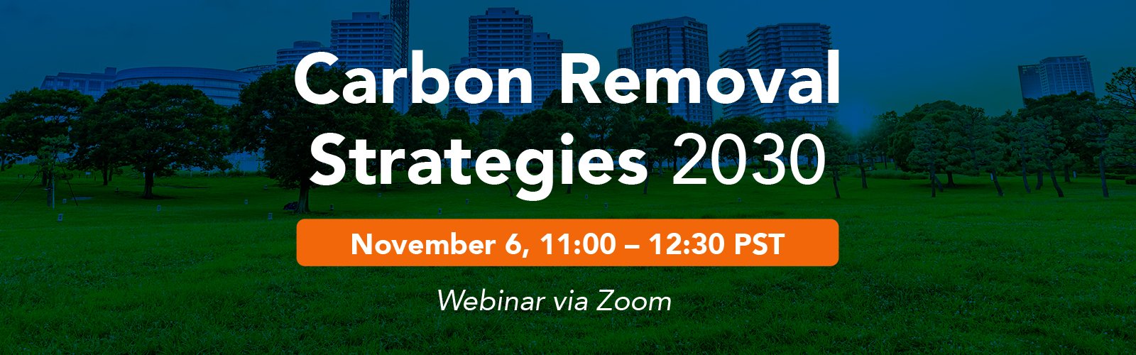 Carbon Removal Strategies 2030