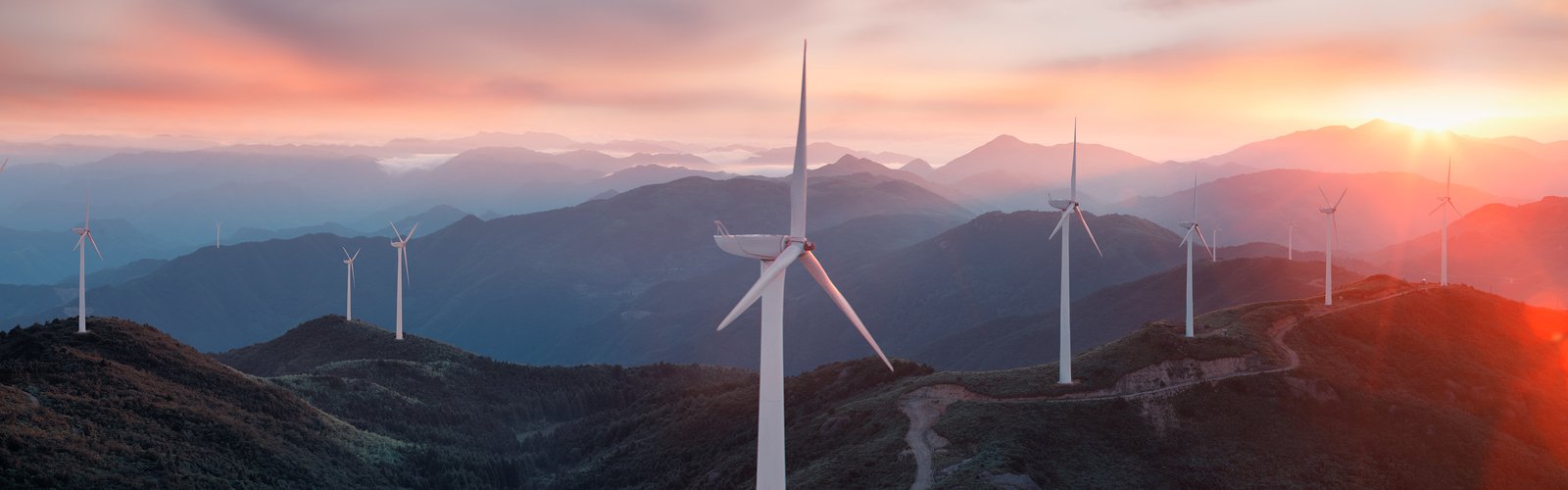 wind farm