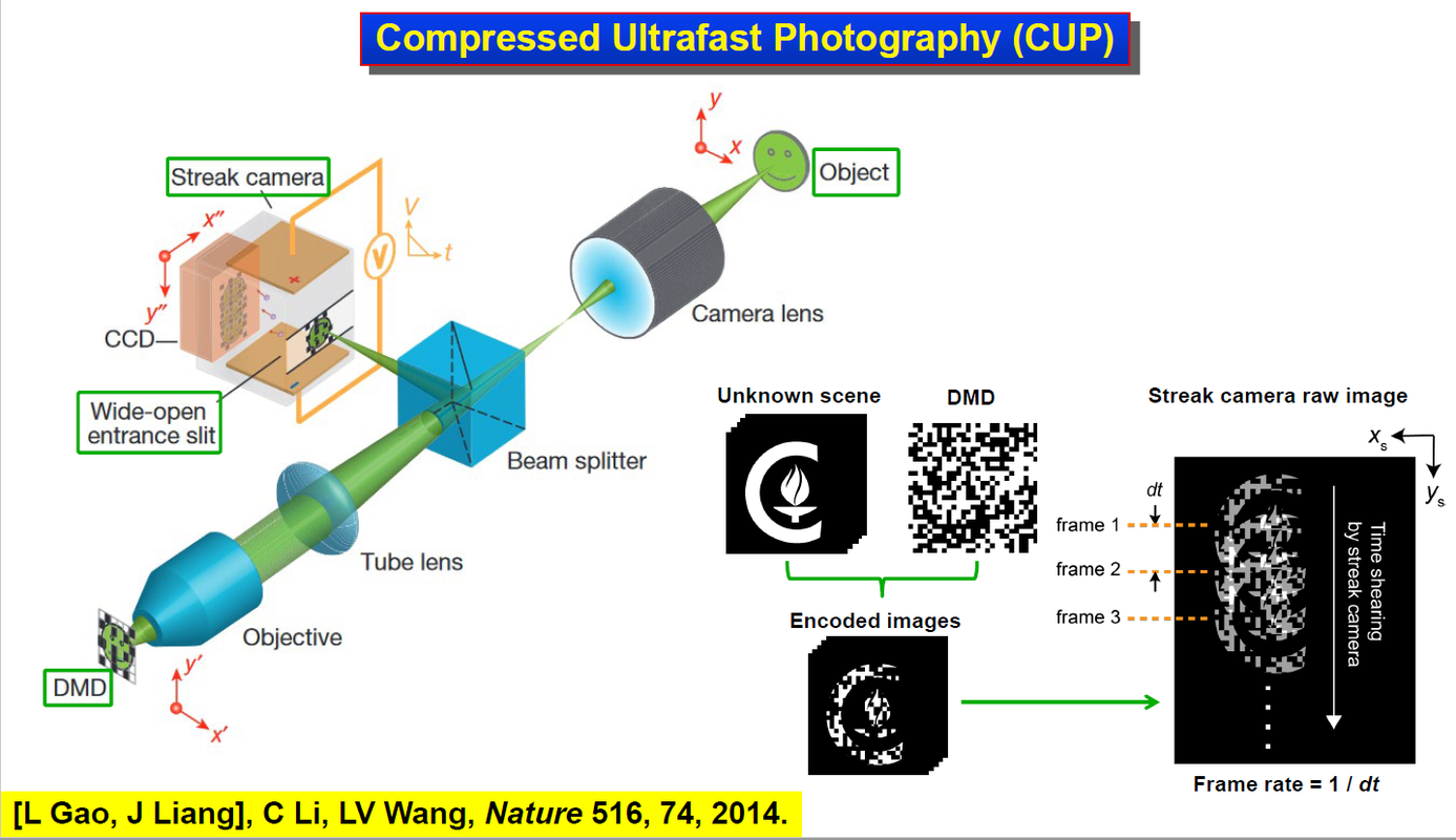 CUP_working_principle
