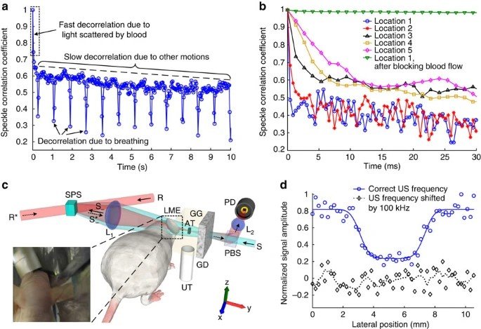 WFS_fig2