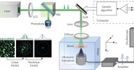 WFS_fig3